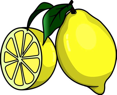 Lemon Fruit Food Free Vector Graphic On Pixabay