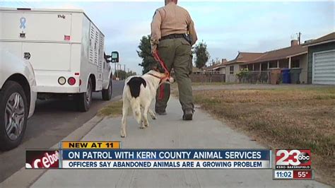 On Patrol With Kern County Animal Services Youtube