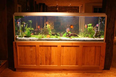 55 Gallon Fish Tank Background