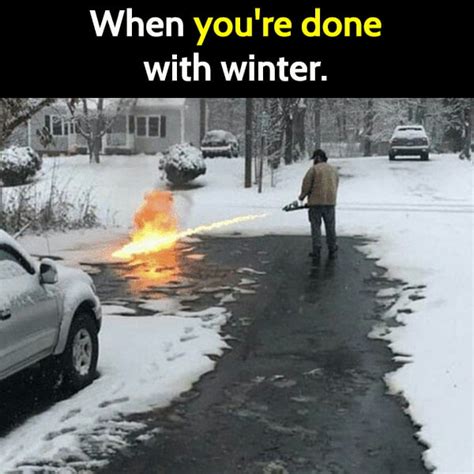 30 Hilarious Memes About The Cold Weather Bouncy Mustard