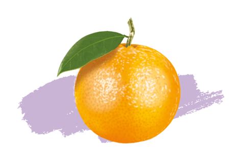 Plantes Aromatiques Orange Douce Docteur Valnet