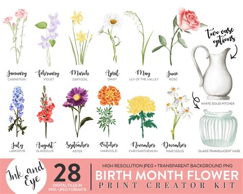 Birth Month Flowers Clipart Watercolor Floral PNG Bundle DIY Birth