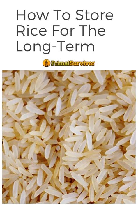 Where and how to store your emergency food supply. How to Store Rice For The Long Term in 2020 | Emergency ...