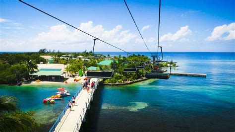 12 Best Things To Do In Mahogany Bay Isla Roatan