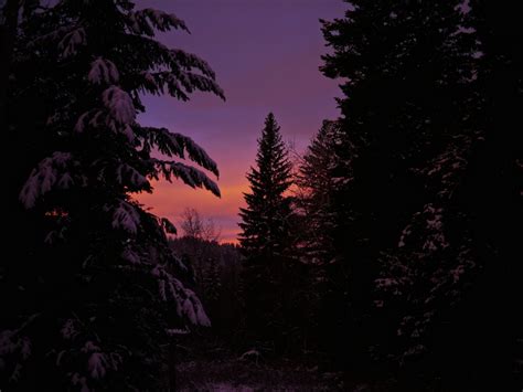 Hintergrundbilder Sonnenlicht Bäume Landschaft Wald