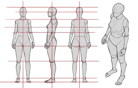 Studying The Human Figure Part Iv On Behance