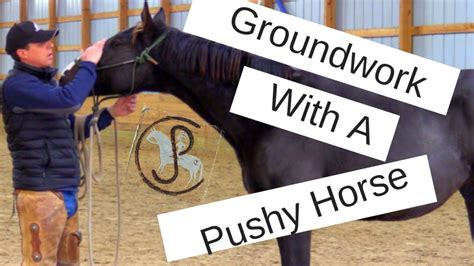 Pushy Horse Tips And Tricks Youtube