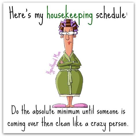 Pin By Cilade On Just For Jokes And Fun Housework Quotes Funny Quotes