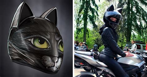 Agv, arai, bell, biltwell, bilt, hjc, icon, ls2, scorpion. Cat Helmets With Ears From Russia | Bored Panda