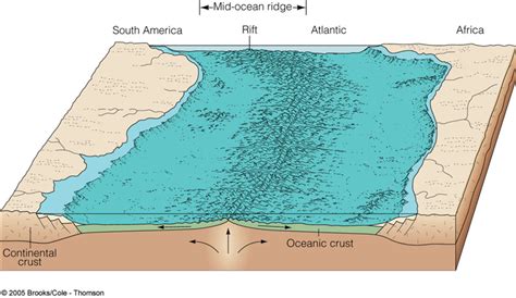 Deep Ocean Floor Diagram Quizlet