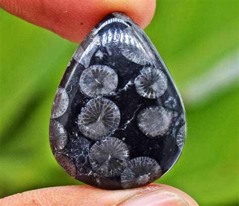 Excellent Black Fossil Coral Stone 20 Cts Amazing Black Fossil Etsy