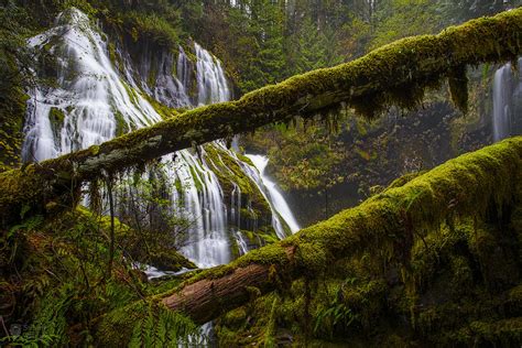 Panther Creek Falls Photograph By Steven Webber Fine Art America