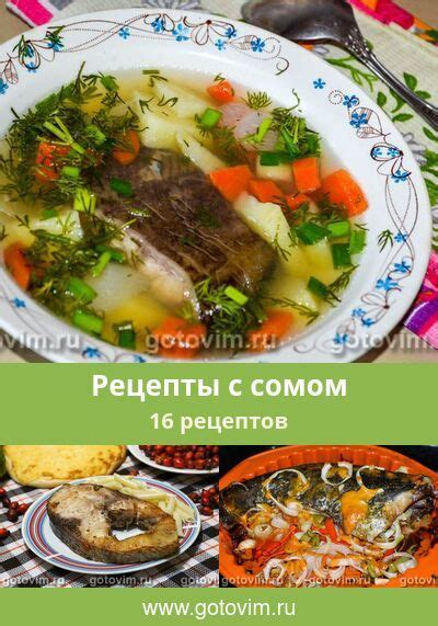 Рецепты с сомом, 16 рецептов, фото-рецепты | Ethnic recipes, Food, Beef