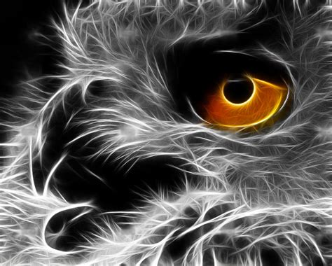 Fractal Owl By Minimoo64 On Deviantart