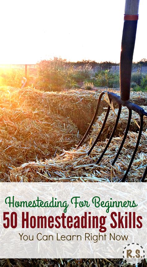 50 Homesteading Skills You Can Learn Right Now
