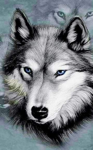 Pin By Angeilina Erwin Rodriguez On Blender Pictures Wolf Art Wolf