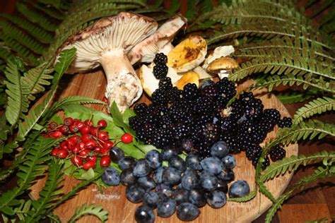Wild Food Foraging With Mary White Kildare Heritage Centre