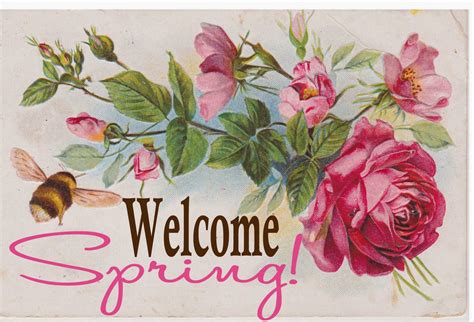 Welcome Spring Pictures Photos And Images For Facebook Tumblr