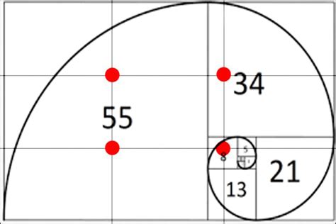 Why Golden Ratio Is Related To Photography