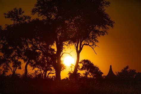 Free Stock Photo Of African Sunset