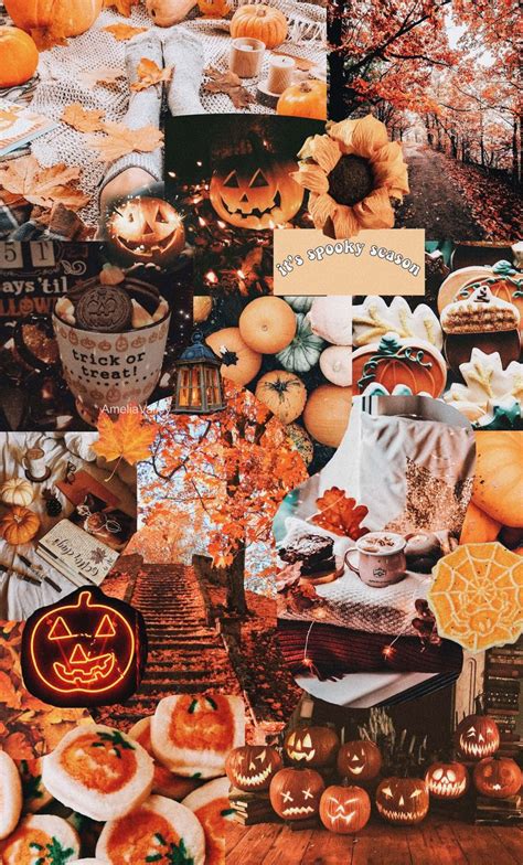 Fall Collage Transparent Sticker By Ameliavalley Fall Wallpaper