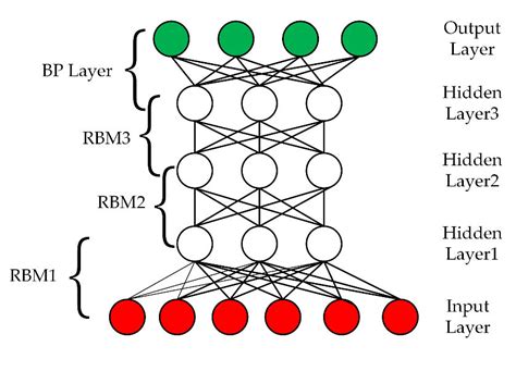 Deep Belief Network Dbn Basic Network Structure Download
