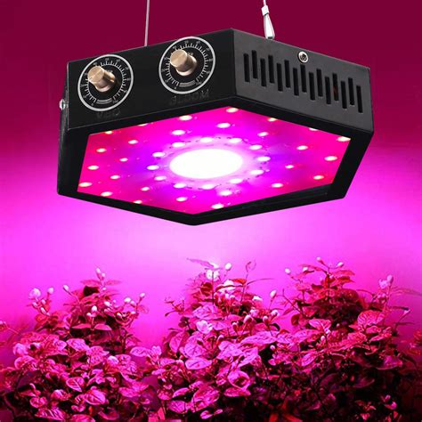 Check spelling or type a new query. EONPOW 1000W COB Led Grow Light Review