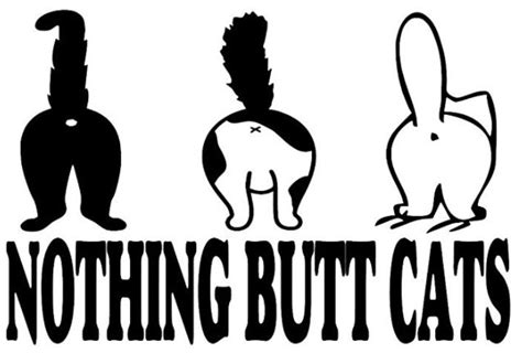 Nothing Butt Cats Funny Vinyl Bumper Car Sticker Decal 6 X 4 Etsy