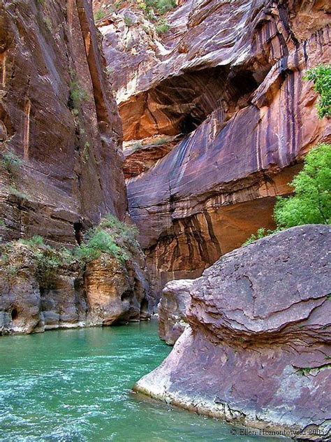 Zion National Parkvirgin River In 2020 Places To Travel National