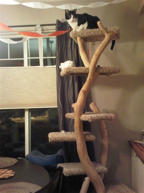 great cat tree made in medford or diy cat tree cat diy cat ladders cat tree house