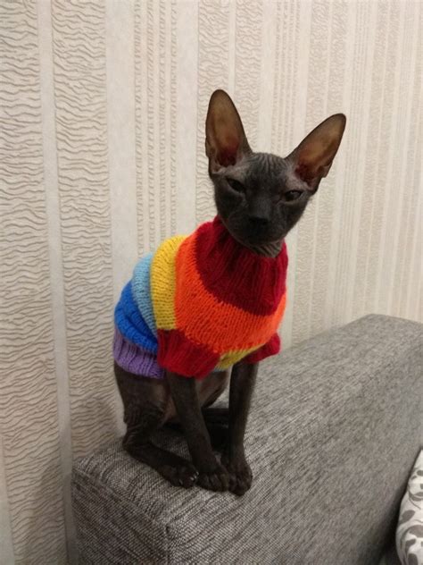 Clothing For Cats Clothes For Sphynx Cat Clothes Sweater Etsy