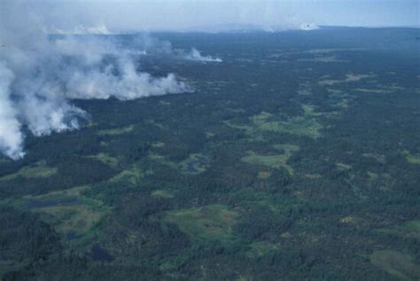 Free Picture Aerial Photography Big White Fire Smoke Forest Fire