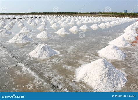 Sea Salt Farm In Thailand Stock Photo Image Of Salty 155371942