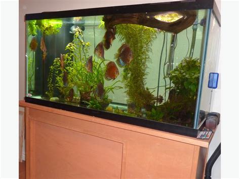 90 Gal All Glass Aquarium W Stand Saanich Victoria