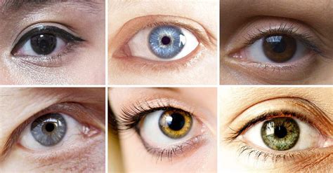 How Eye Color Is Determined From Brown To Blue
