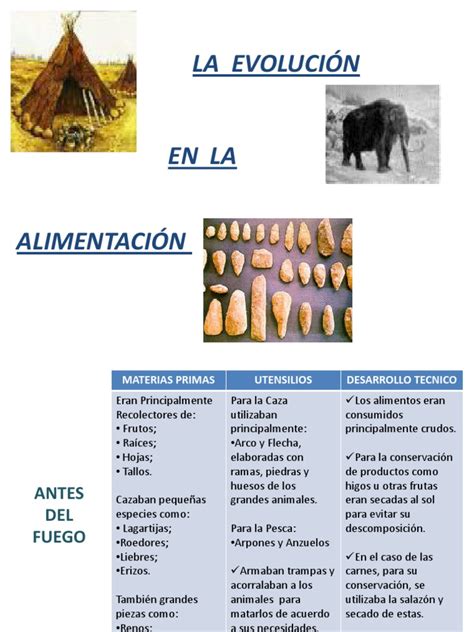 Evolucion E Historia En La Alimentacion Pdf Carne Panes