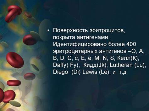 Подбор диеты по крови