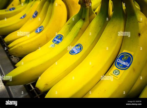 Marke Chiquita Bananen Sind In Einem Supermarkt In New York Gesehen