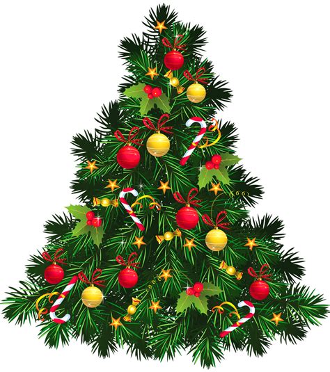 2015 Christmas Tree Transparent Background Wallpapers9