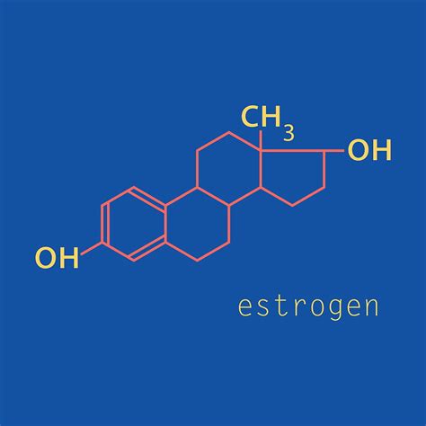 Estrogen Molecule Structure In Style Scientific Vector Ai Eps Uidownload