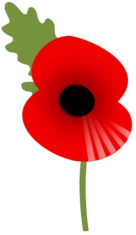 Remembrance Day Poppy Png Clip Art Library