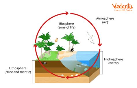 Biosphere Learn Important Terms And Concepts