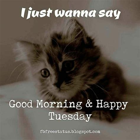 Funny Quotes Tuesday Morning Meme ShortQuotes Cc