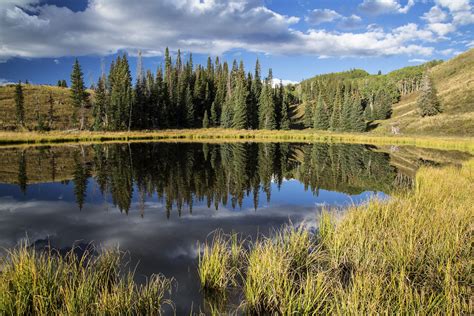 1280x1024 Resolution Photo Of Lake Surrounded By Green Grass And