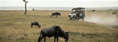 5 Days Wildlife Safari In Kenya Wildlife Safaris Culture Amboseli