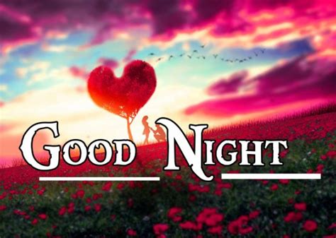 Good Night Wallpaper Romantic Romantic Good Night Image Hd