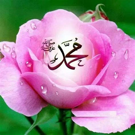 Asad 1:03 am allah names , 0 comments. HD Allah Wallpaper Flower | wallpaper batu