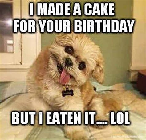 🐶 29 Funniest Happy Birthday Dog Meme Happy Birthday Dog Meme Happy