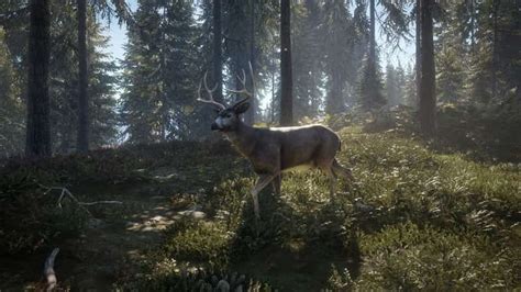 Why The Hunter Call Of The Wild Is The Best Stealth Game Youve Never