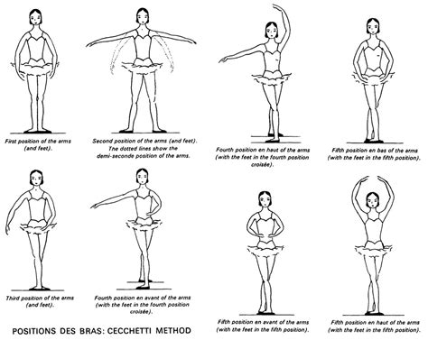 positions ballet positions ballet basics ballet technique